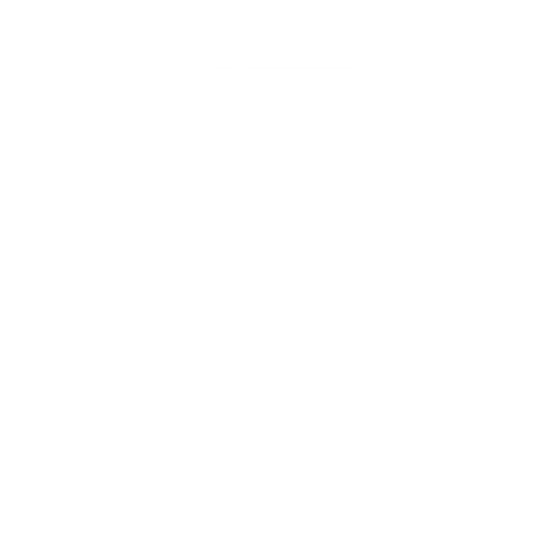 promise2